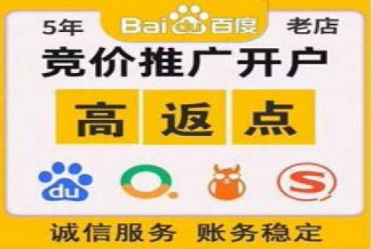 成功运用SEM服务实现品牌快速成长的案例